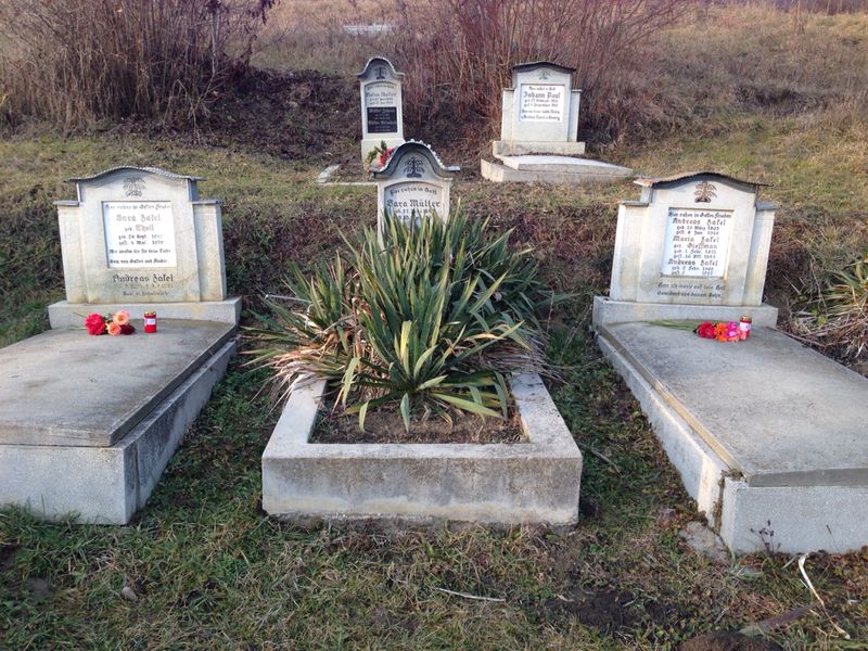 Image 4 of 37  -  151 kB